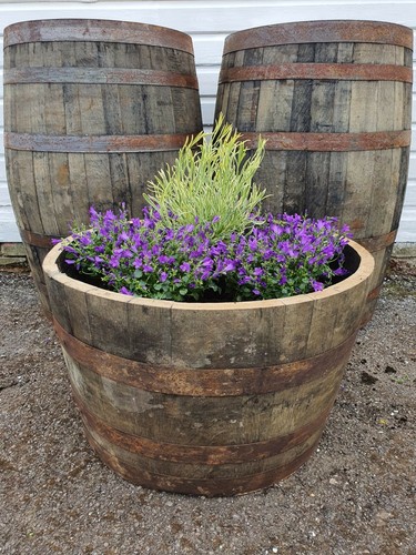 Large oak half whisky barrel - oak,