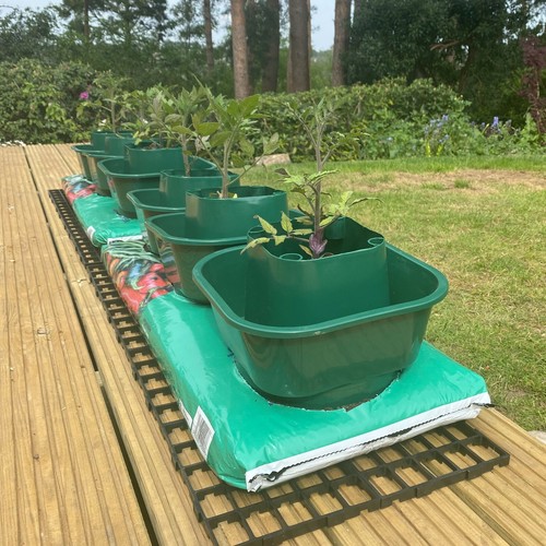 Grow bag watering pots - bag,
