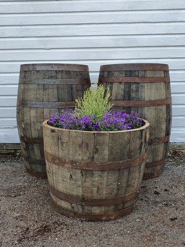 Large 50cm tall oak half - large,