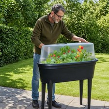 Mini Greenhouse Propagator