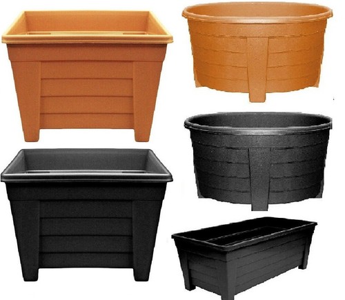Plastic long square oval - oval, plant