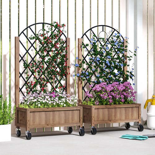 Pack wooden raised - wooden, flower